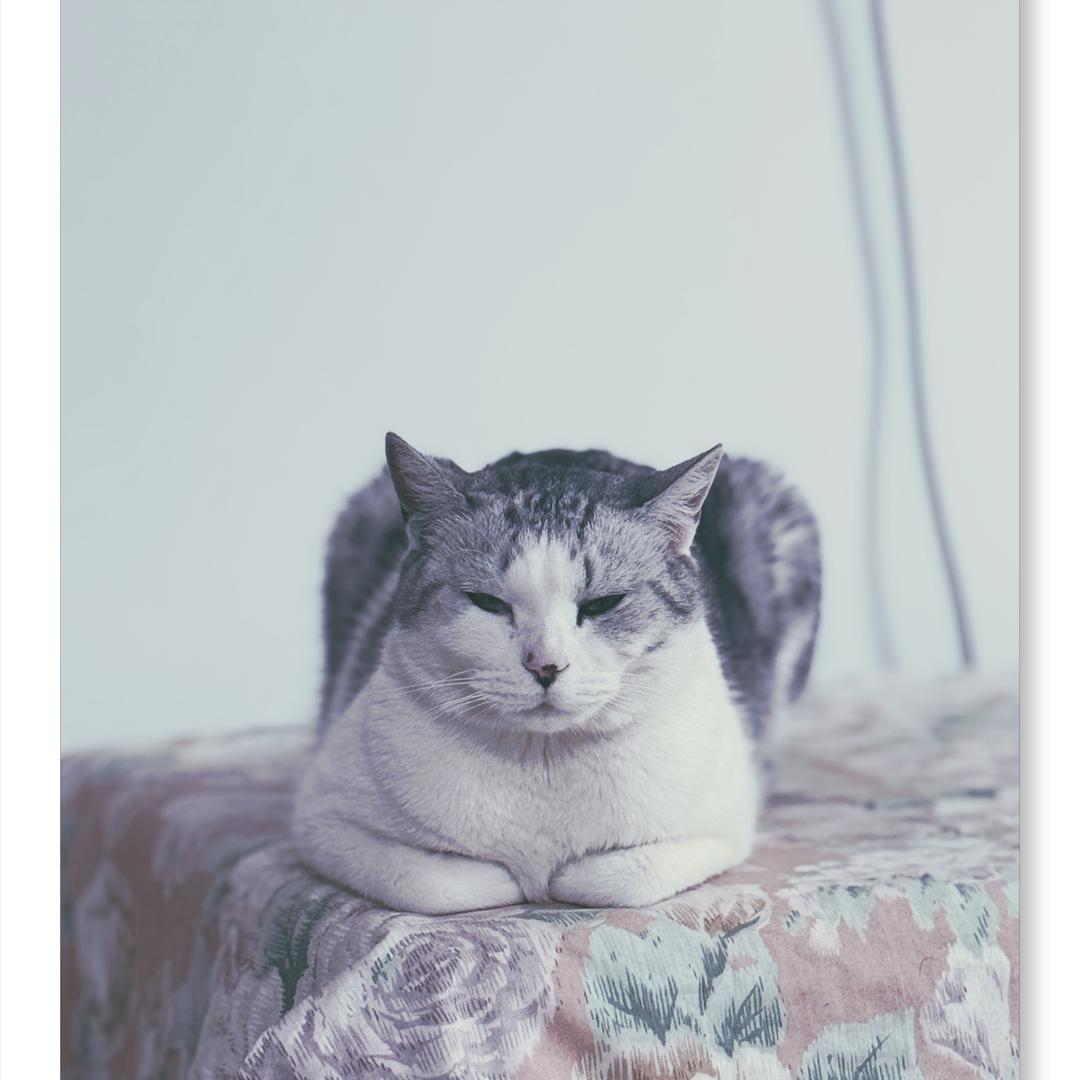 米创江苏米创清洁科技有限公司清洁用品专卖店