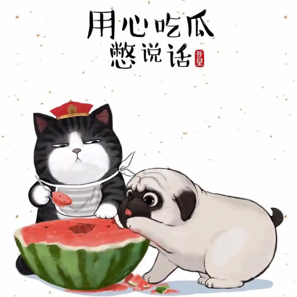 新美绿植严选店