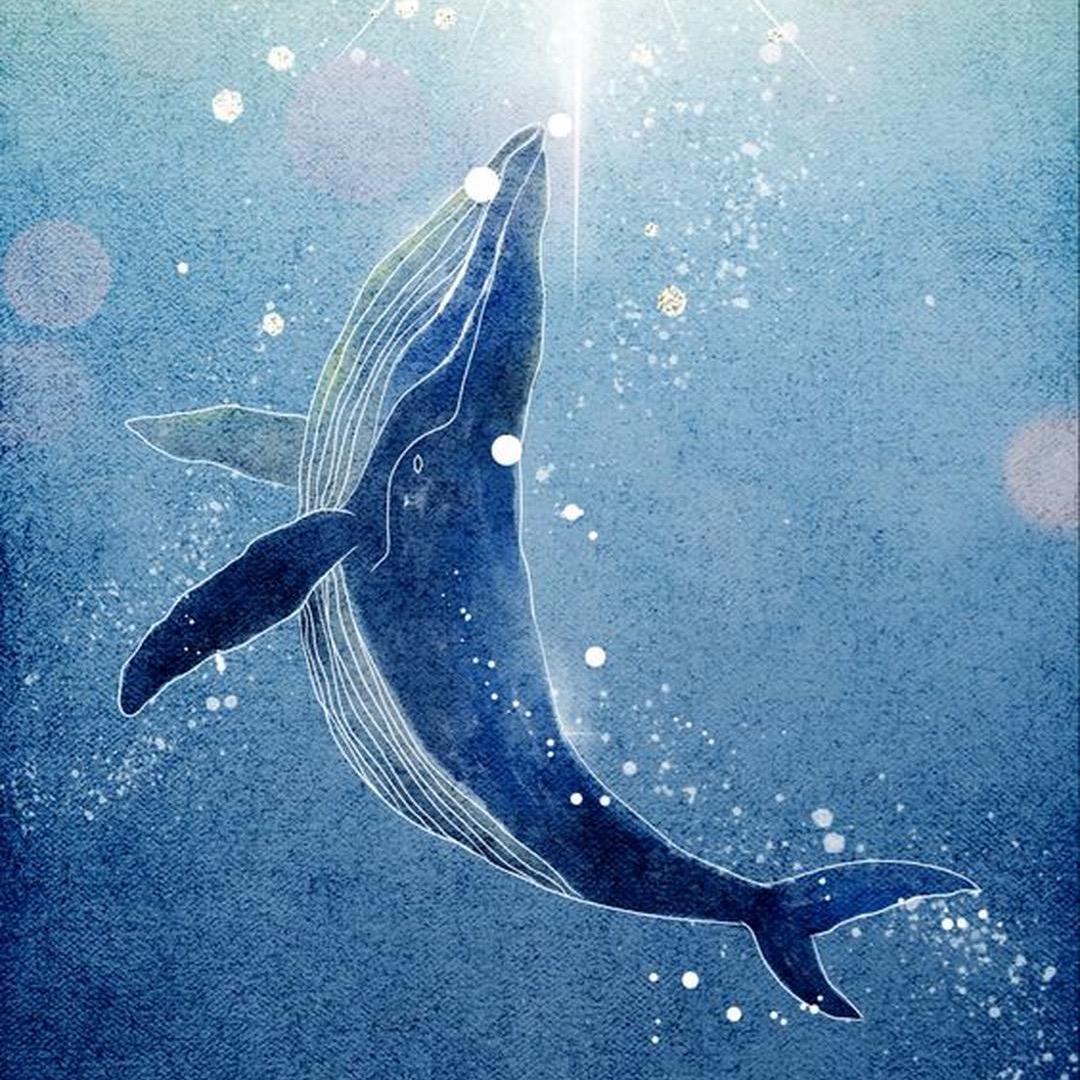 海蓝时见鲸～🐳