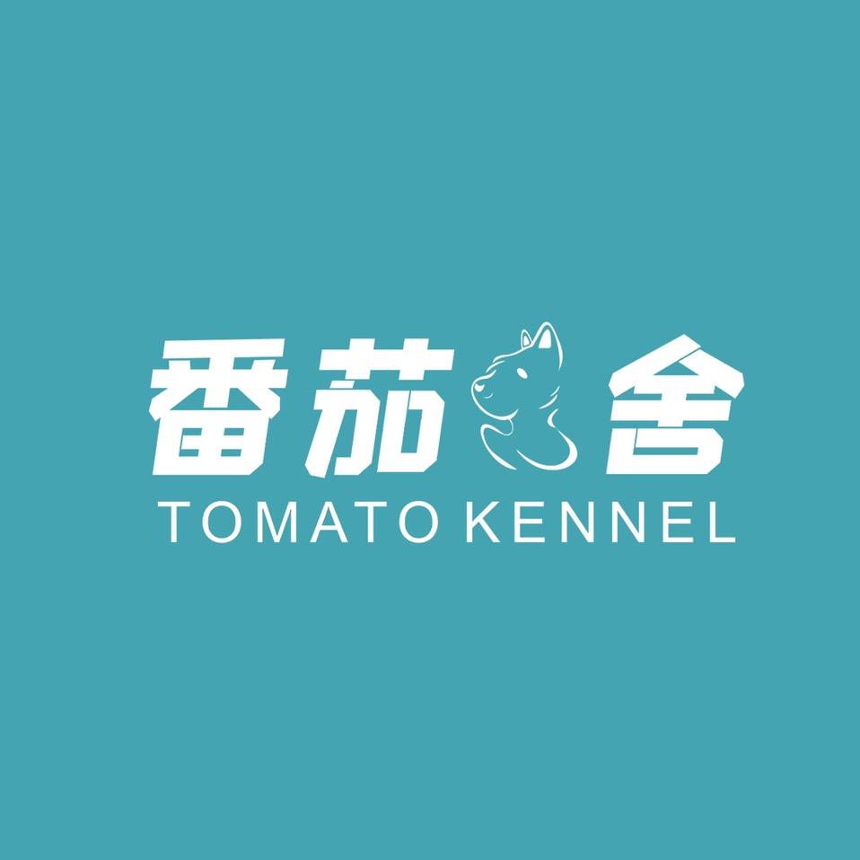 番茄 | 西高地犬舍