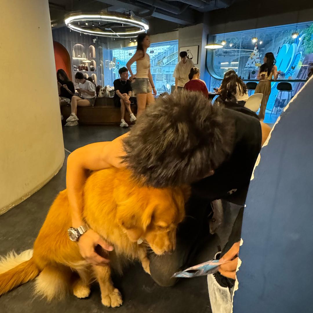 （陈）渣渣