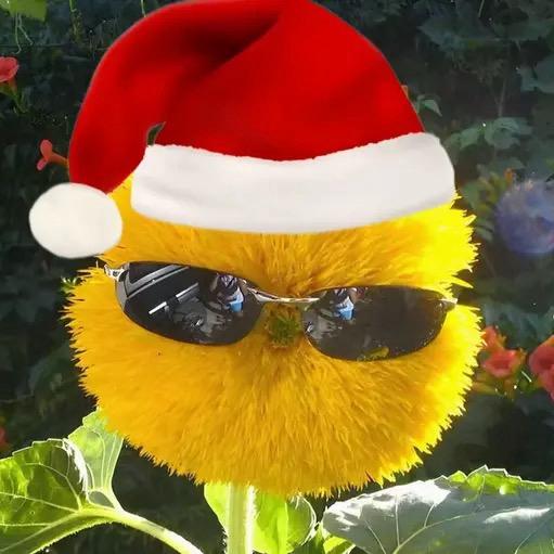 土豆鸭｜添豪运版本🐰