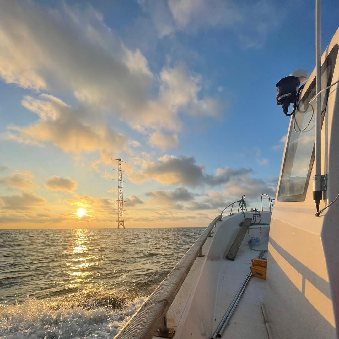 钓鱼小能手🎣🎣