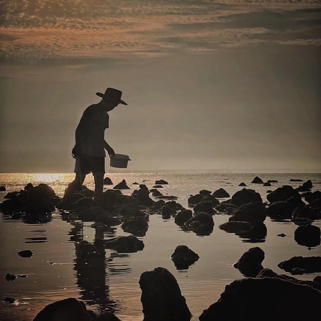 阿枫·海边日记