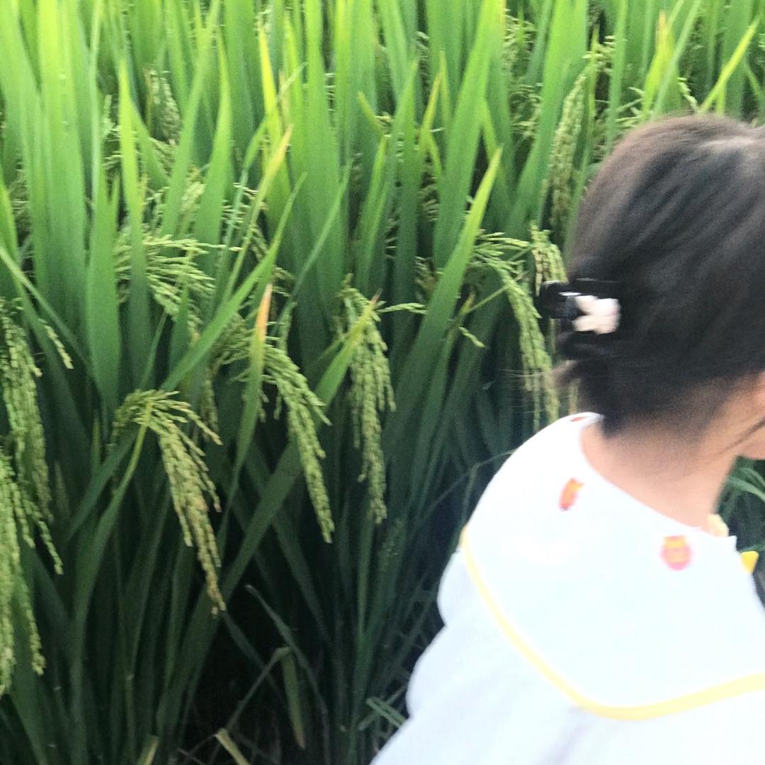 G F