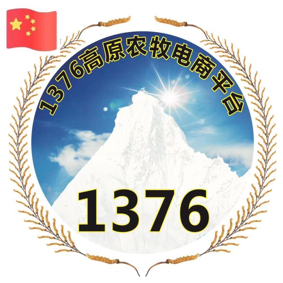 MZ 1376