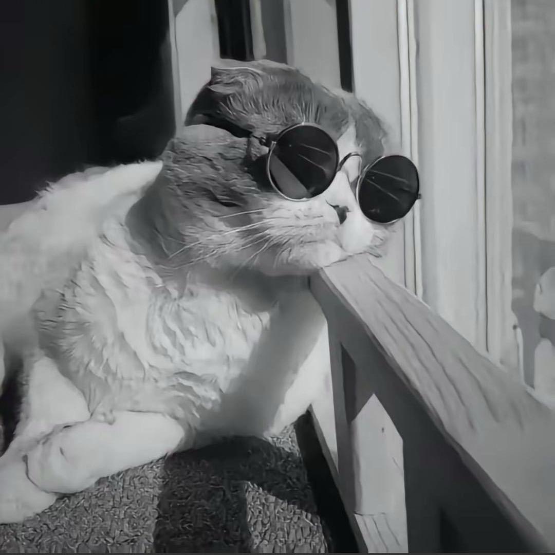 J.M.⁷