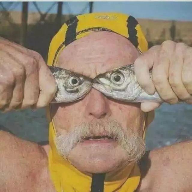 陈缘未了