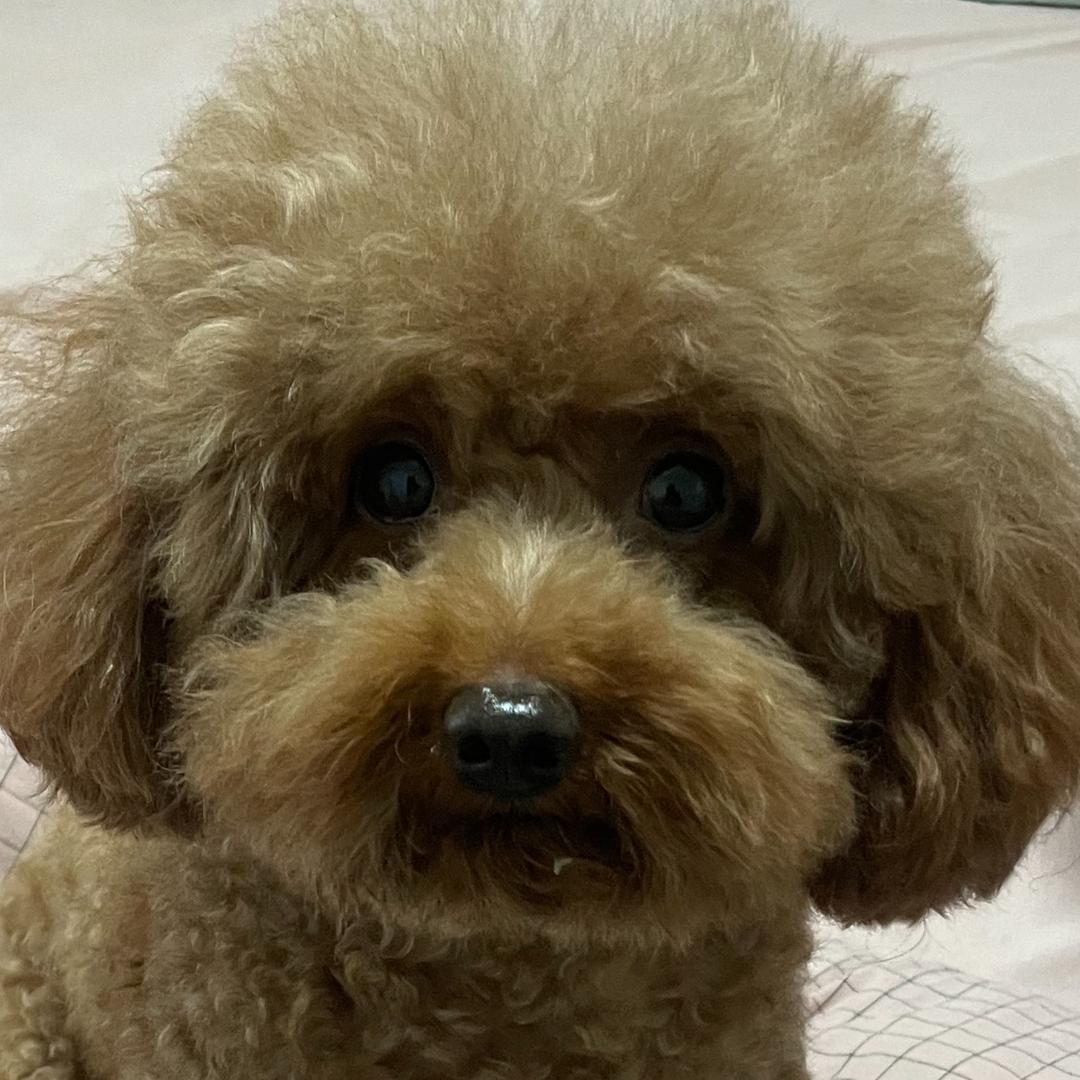 大奥