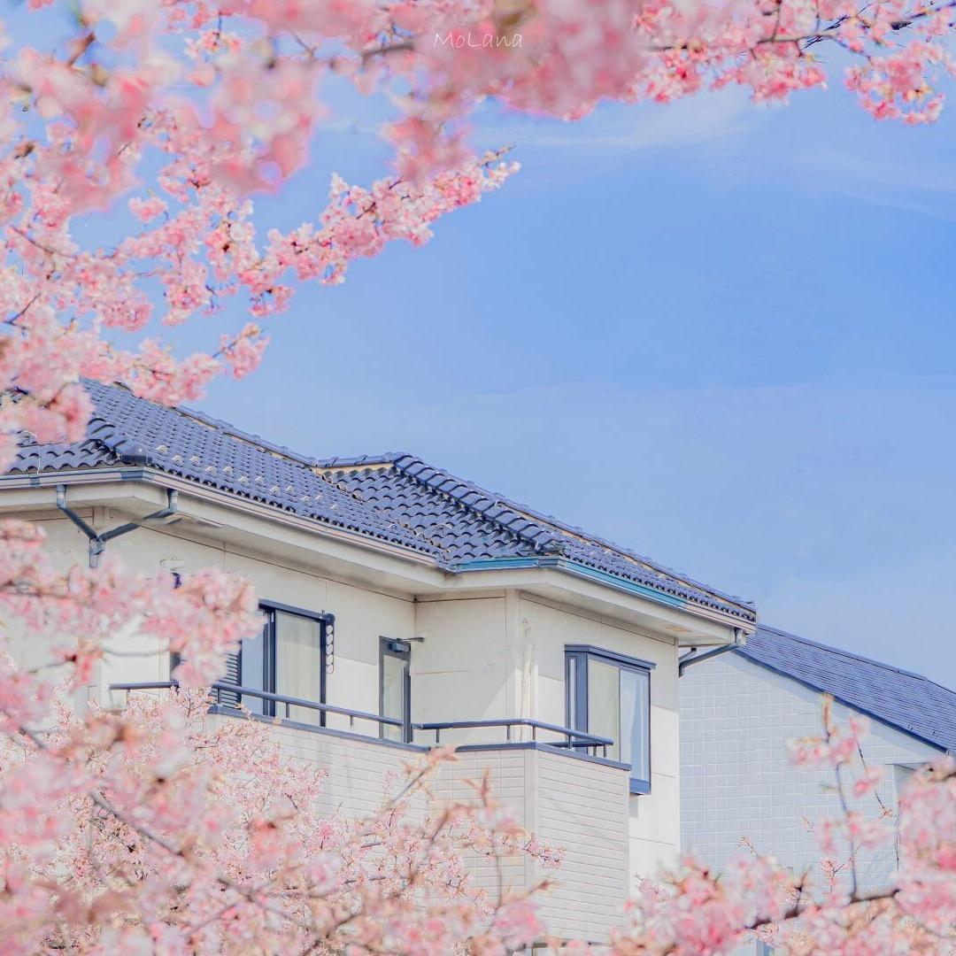 丙♡