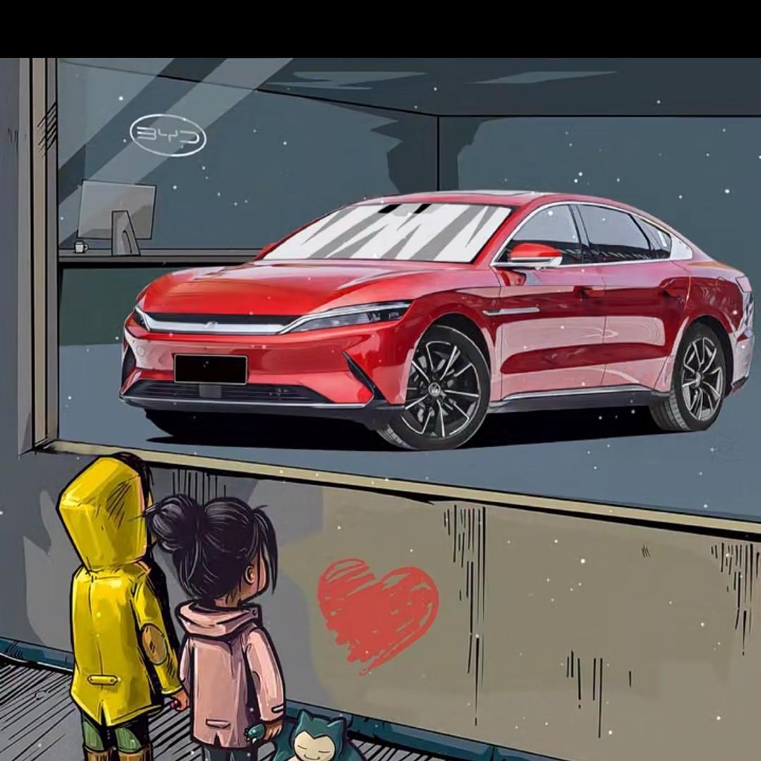 阿强的海豹dmi