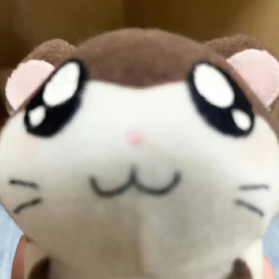 我是tomato脑袋