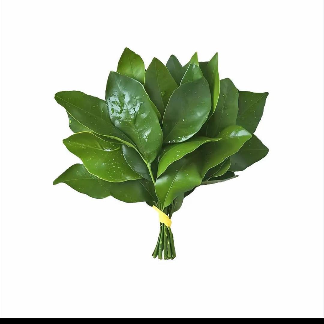 小张-
