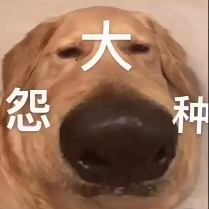不摆烂的陈陈噢