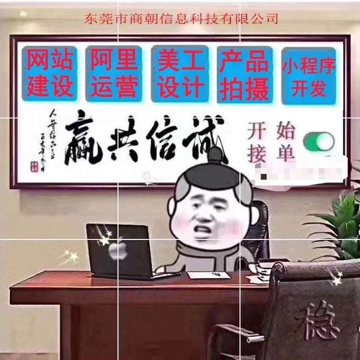 网站建设 网站制作 网站定制开发