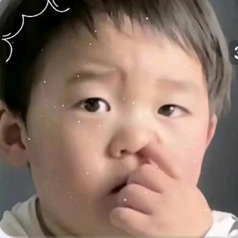 是蔡不是菜（重生号）