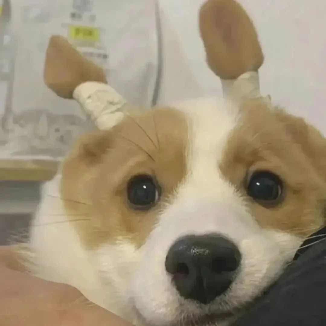 多多指教