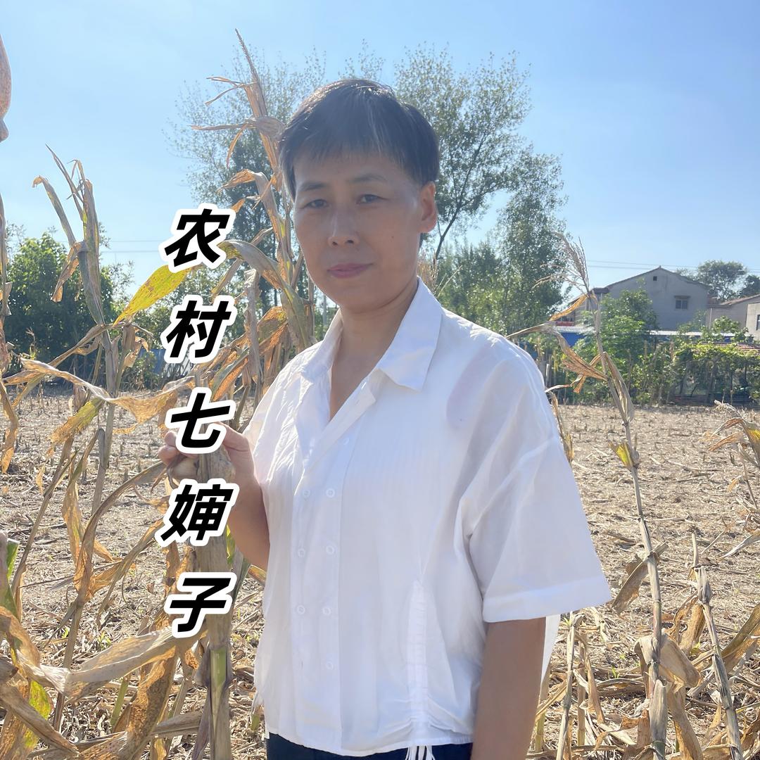 农村七婶子(正能量)
