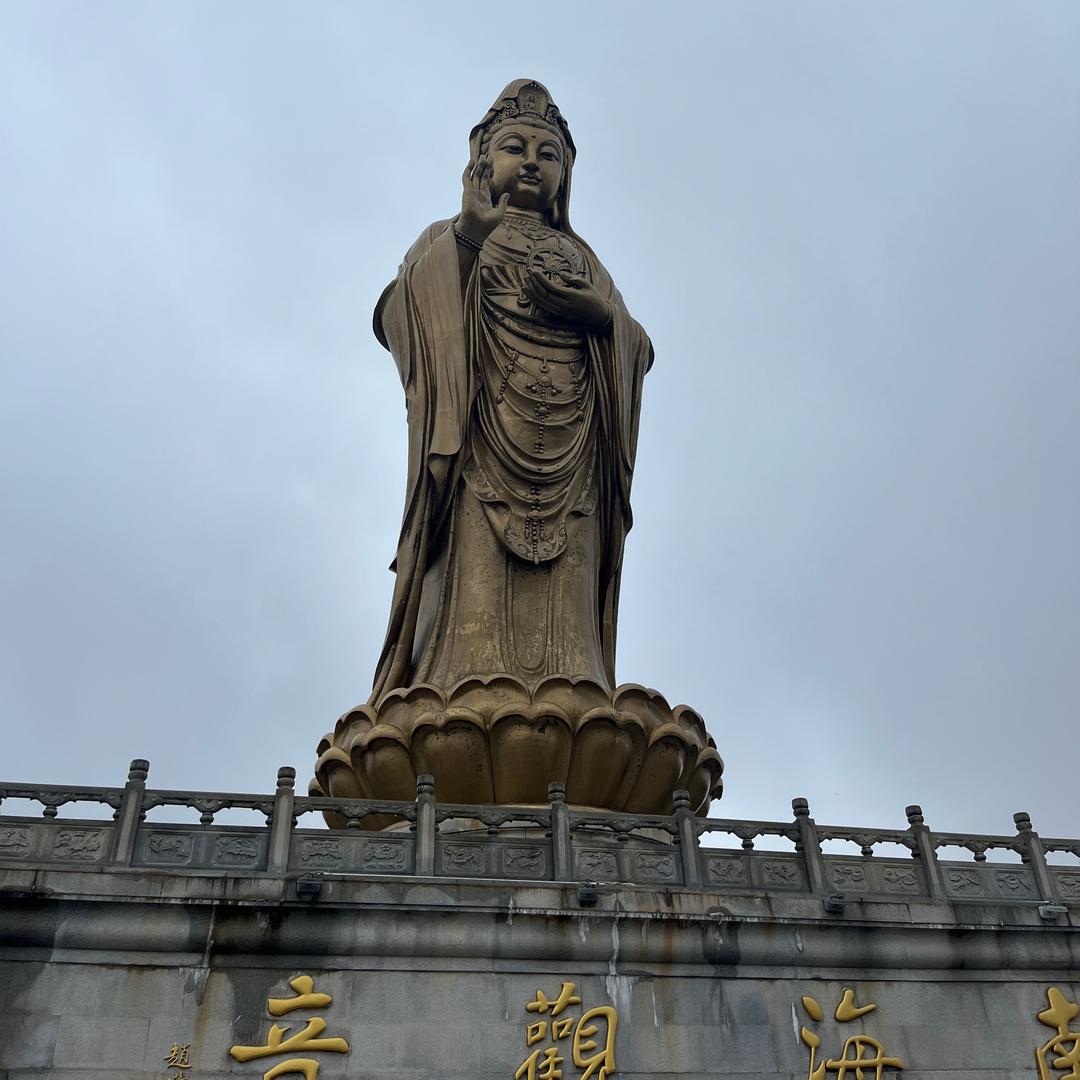 专业无创、鉴定中心