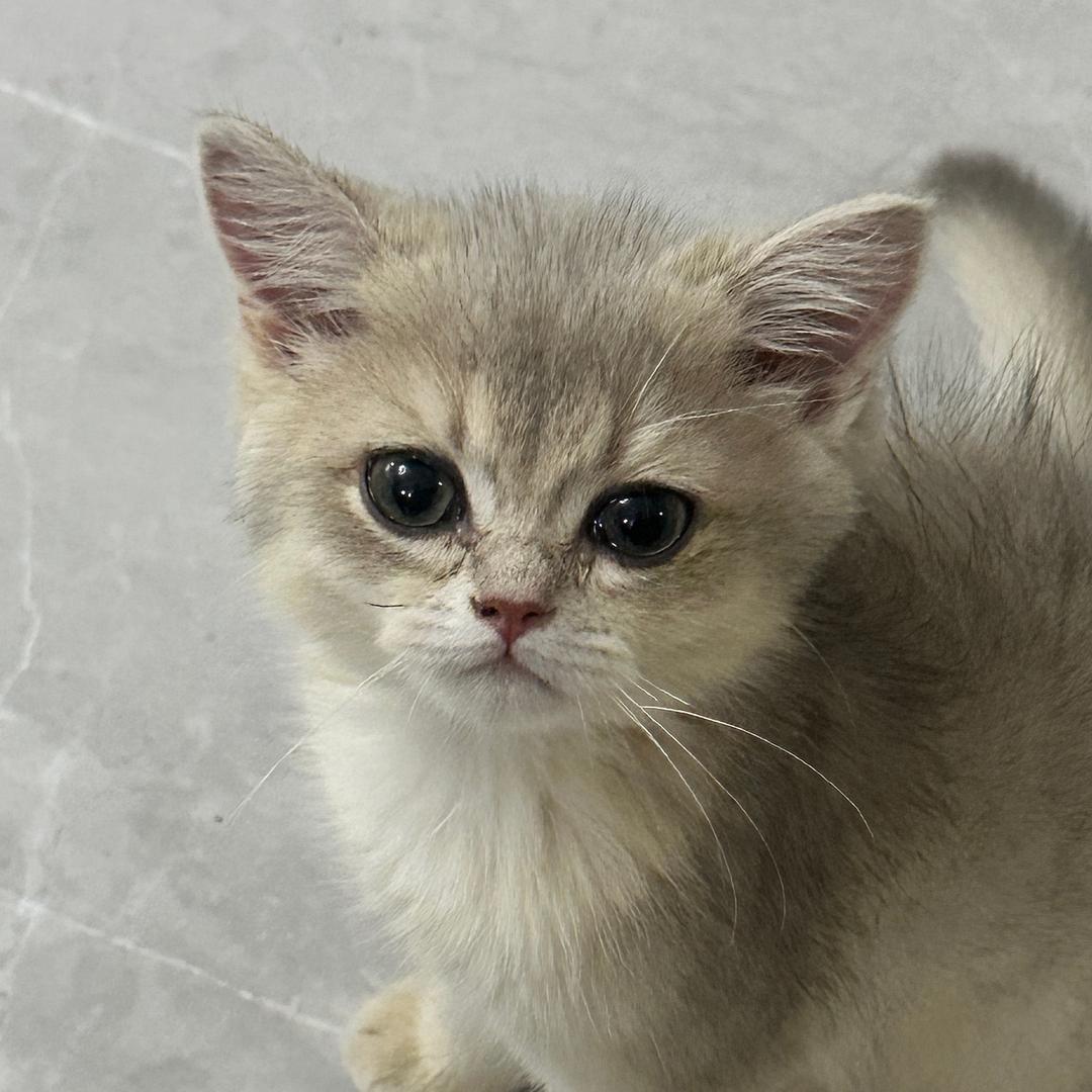 小毅要坚强