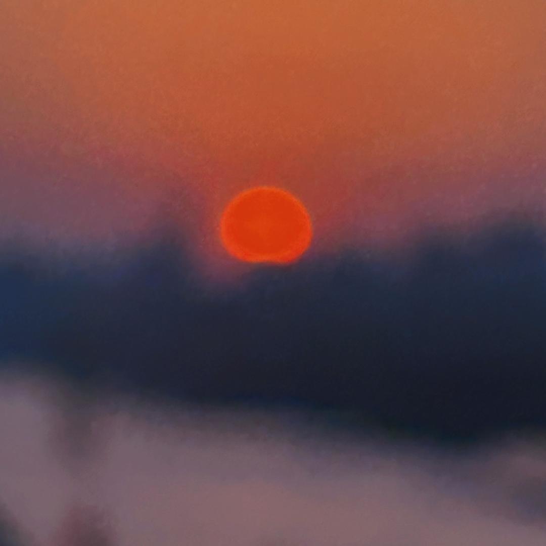 小池野🦋