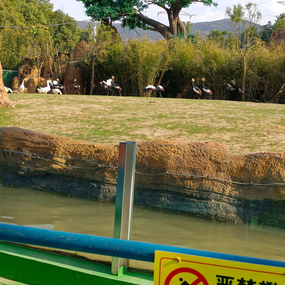 连活着都没意思，我要爱干什么