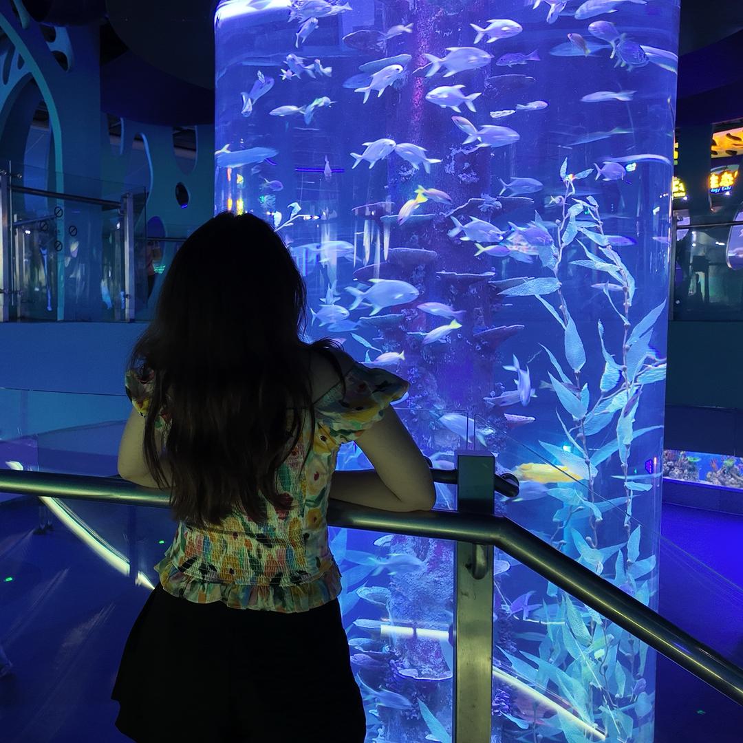 ✨老表爱旅游🐳