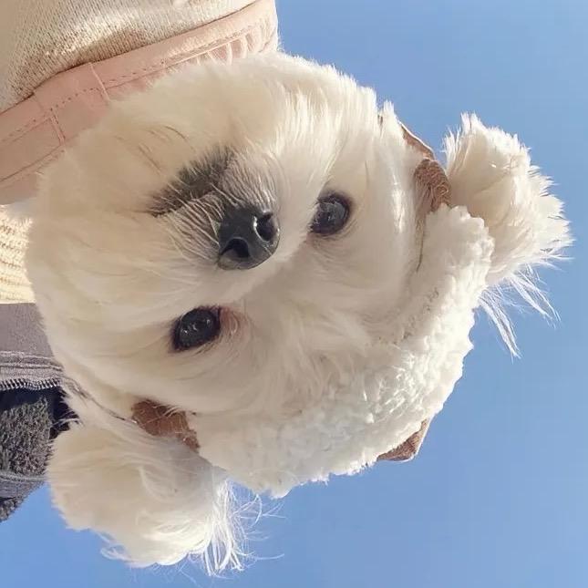 贪吃予