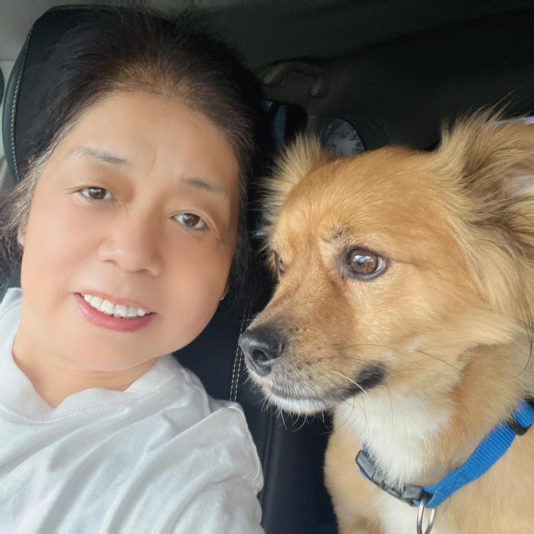秋公子爱坐车