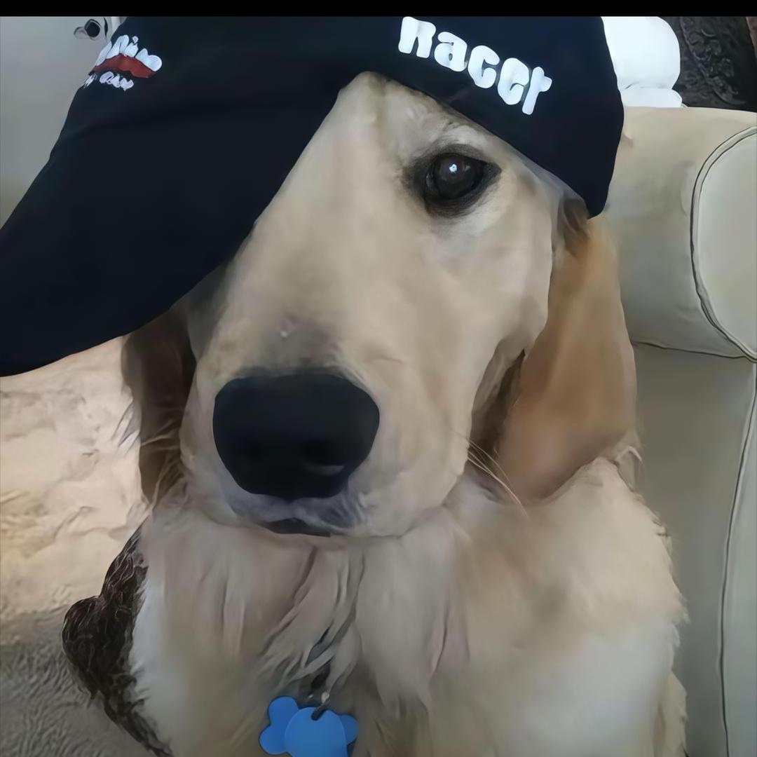 很内向出门只走下水道