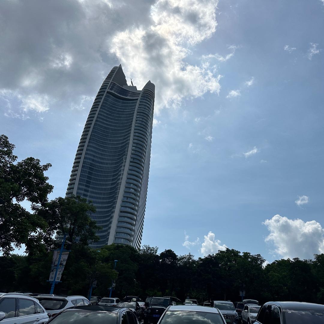 一只流浪的木乃伊