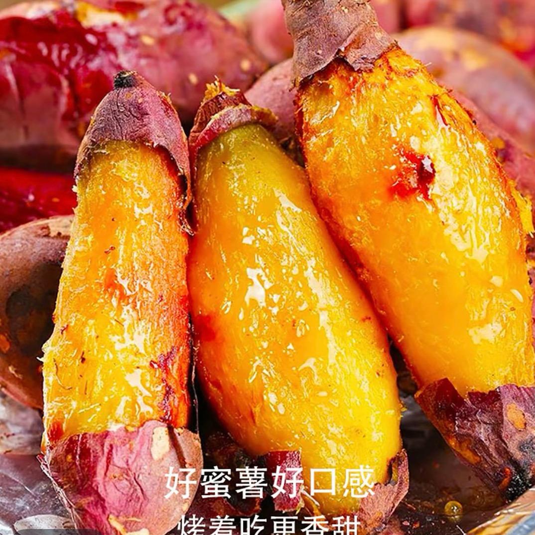 云南榴莲蜜薯基地