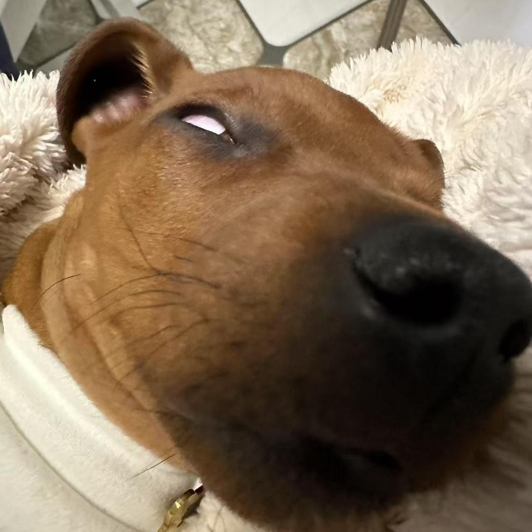 我不叫来财