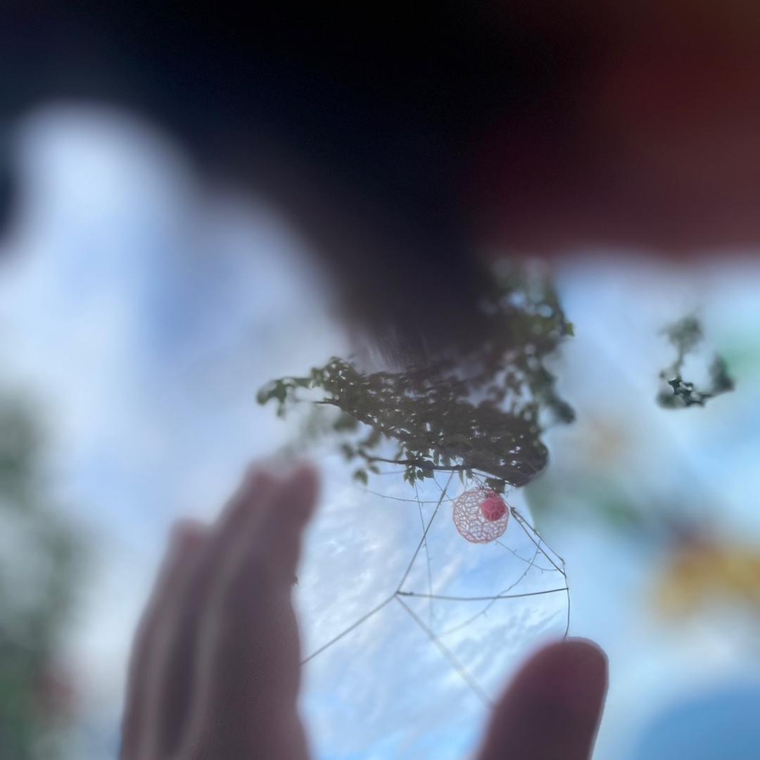 懂我不言.
