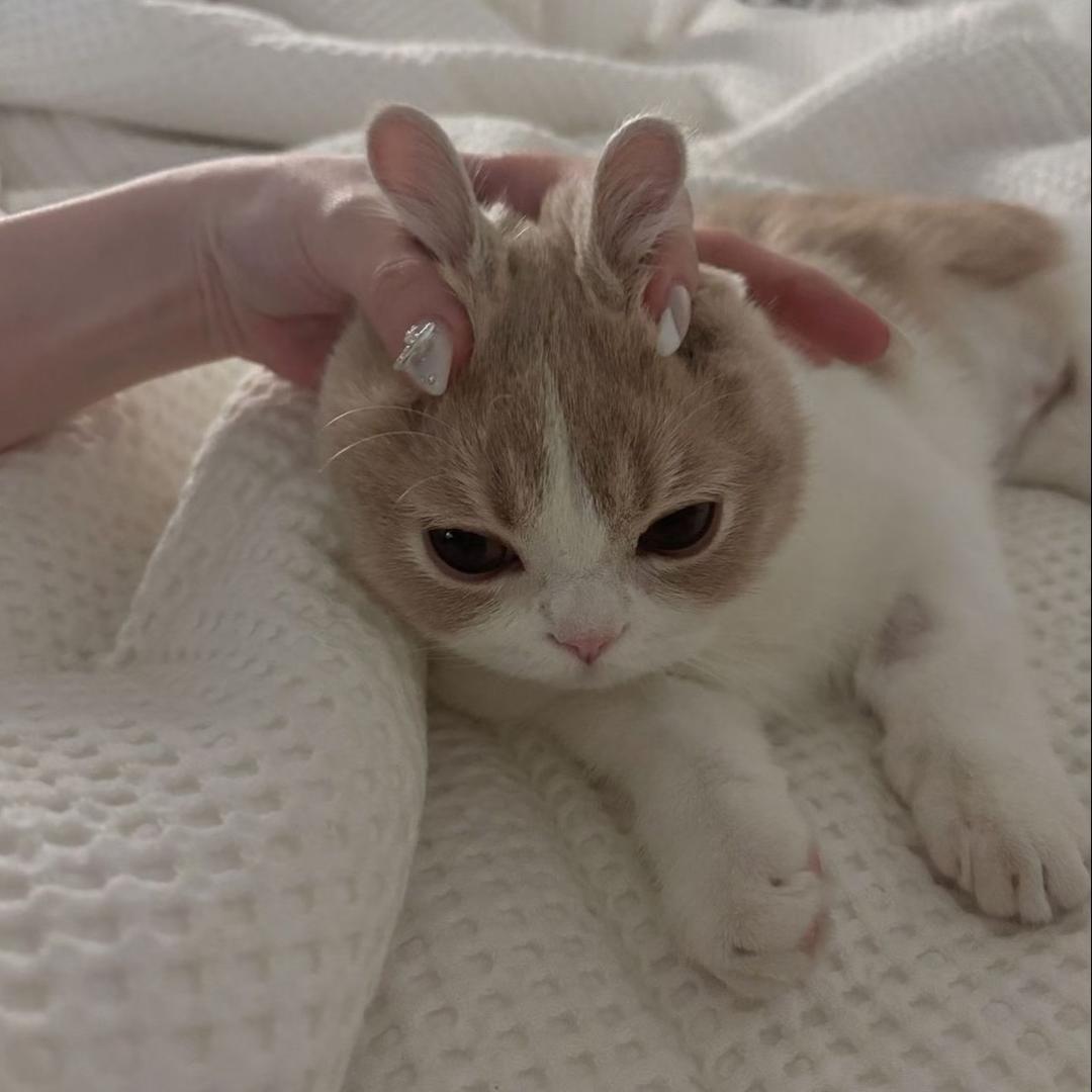 二婚老公当零出轨我男友