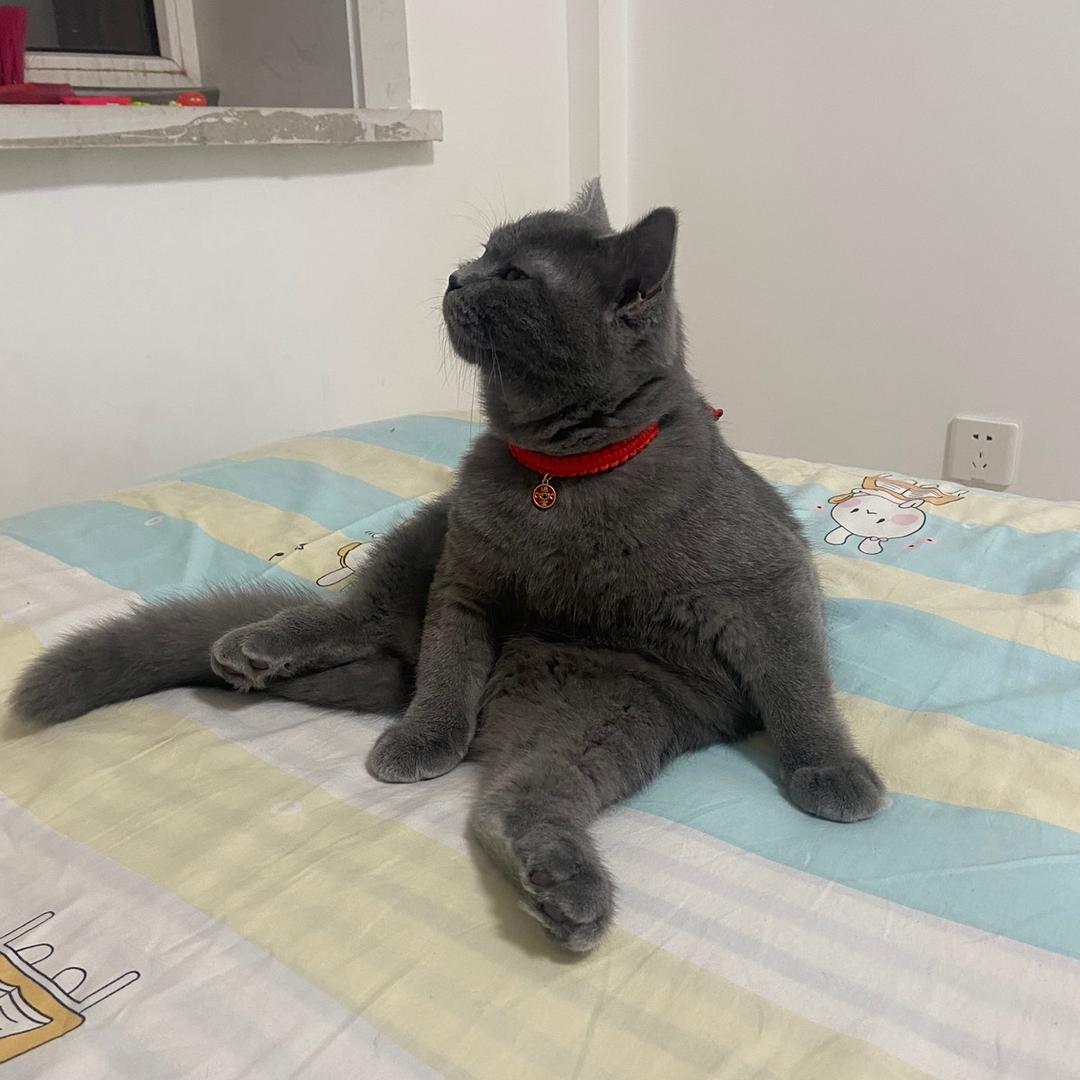 你能哦