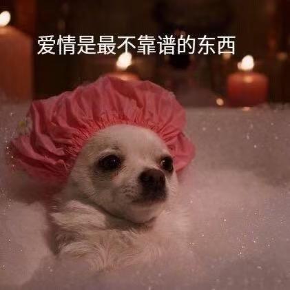 小小雨