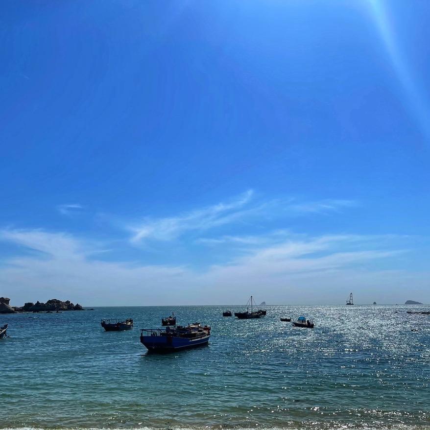 勤奋的小蜜蜂🐝