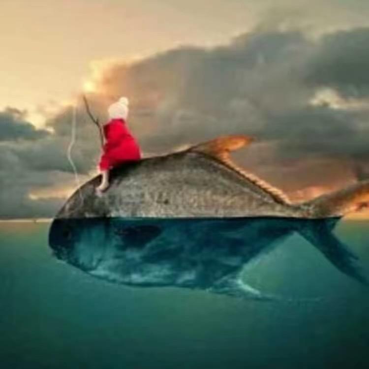 顶风扛旗的诗和远方