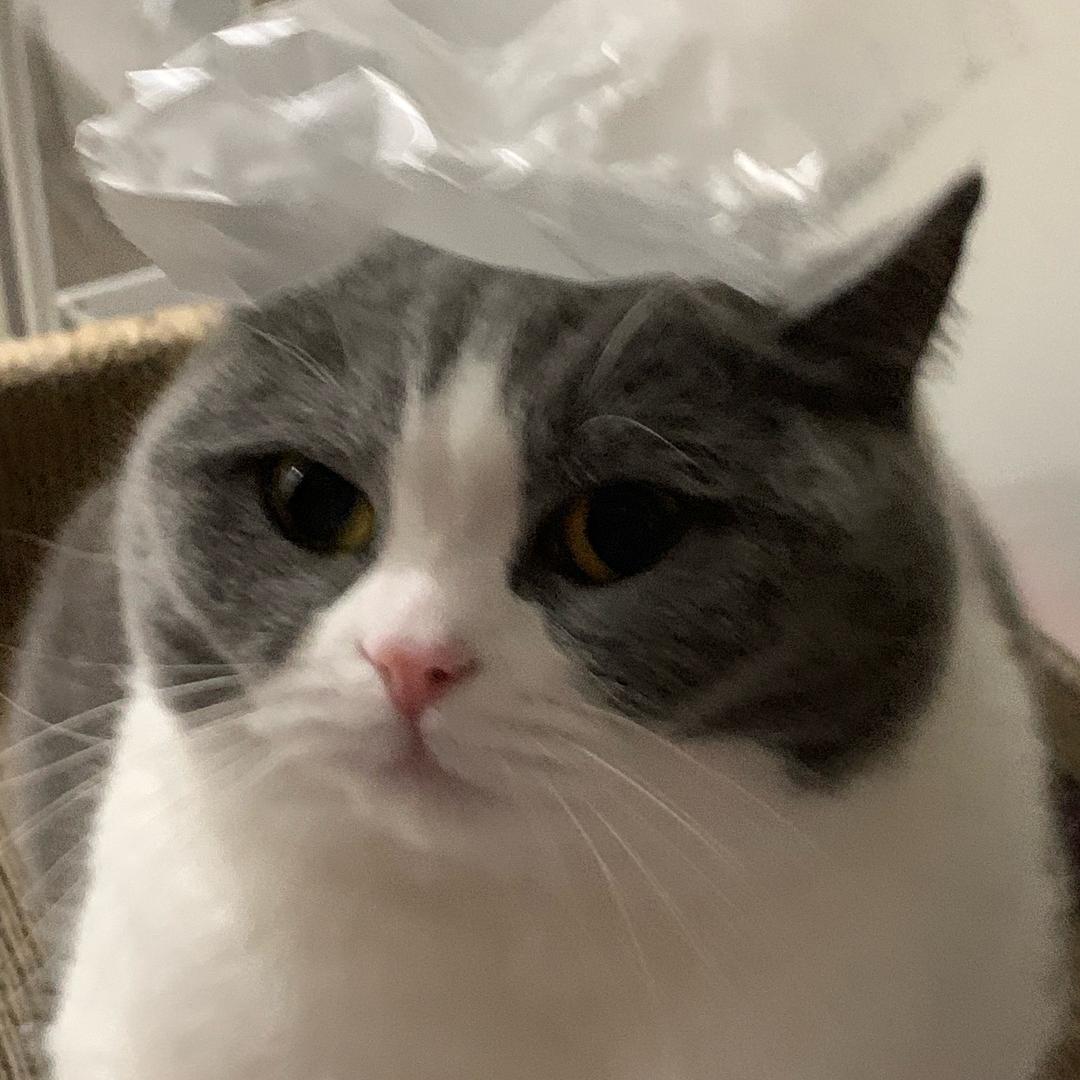 久红麻瓜奶🥛