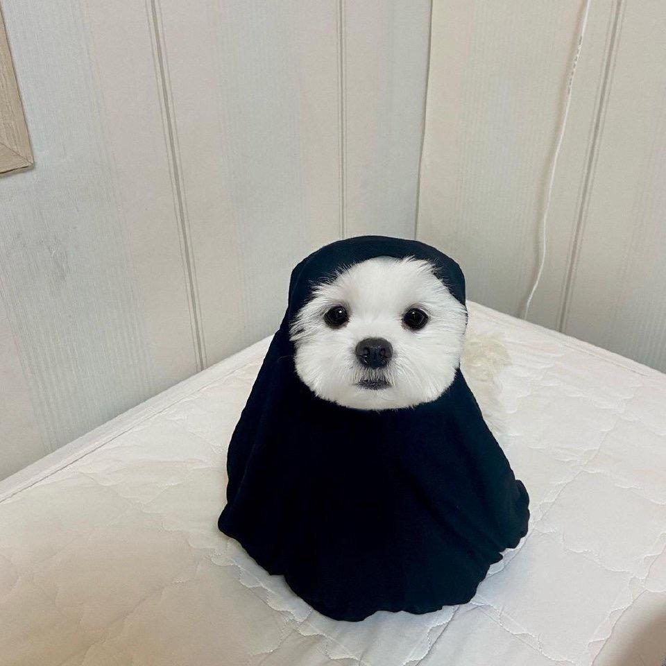 粥六
