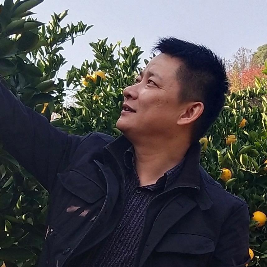 于无声处