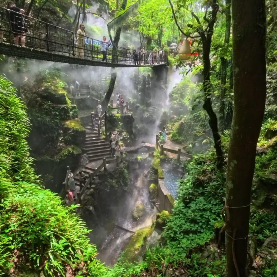 杭州仙桥洞福利官