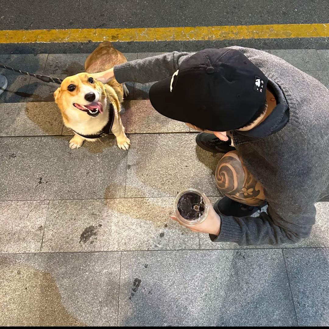 无敌西兰花战士