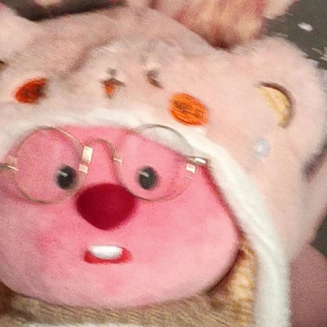 菲菲公主