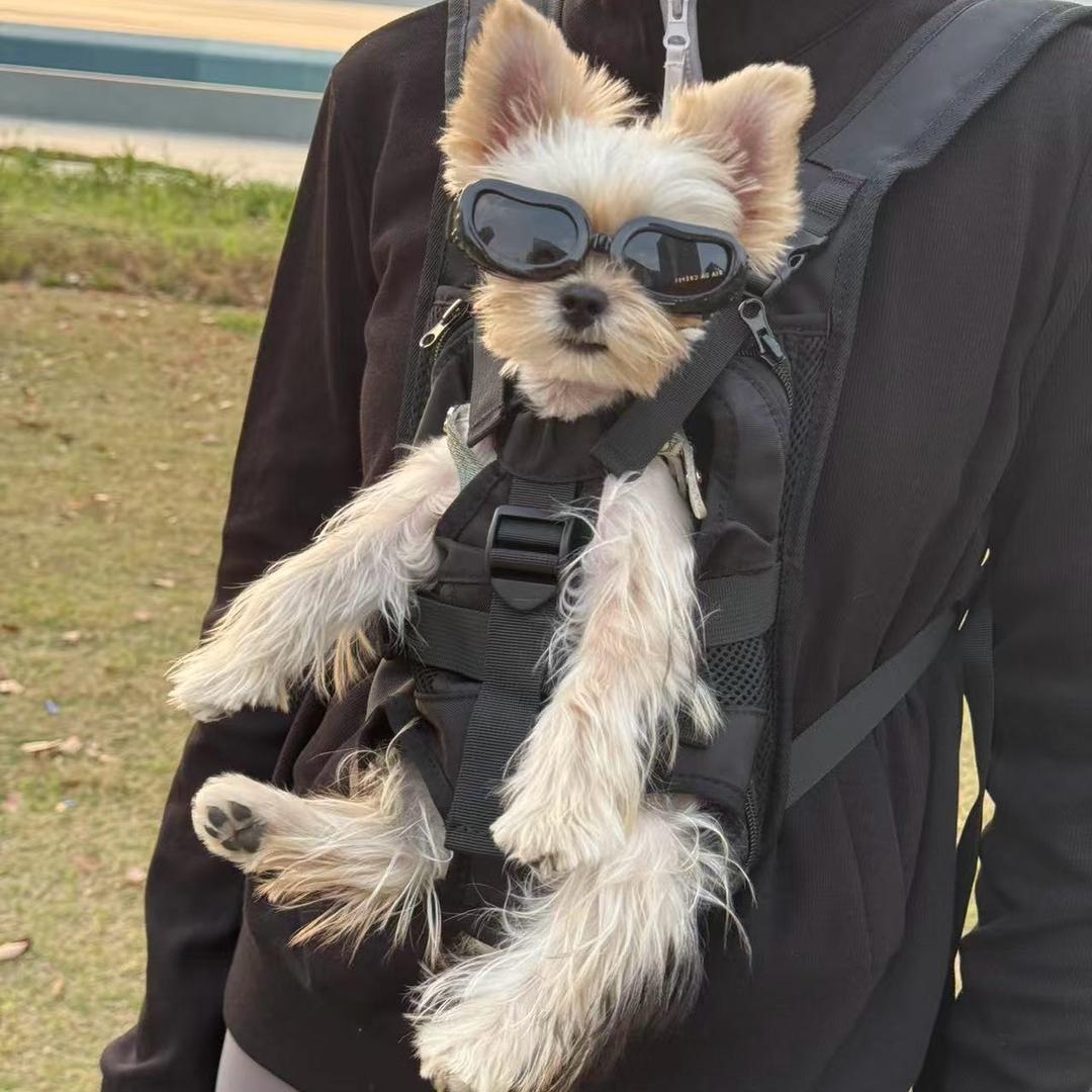 小鼻嘎别跳了