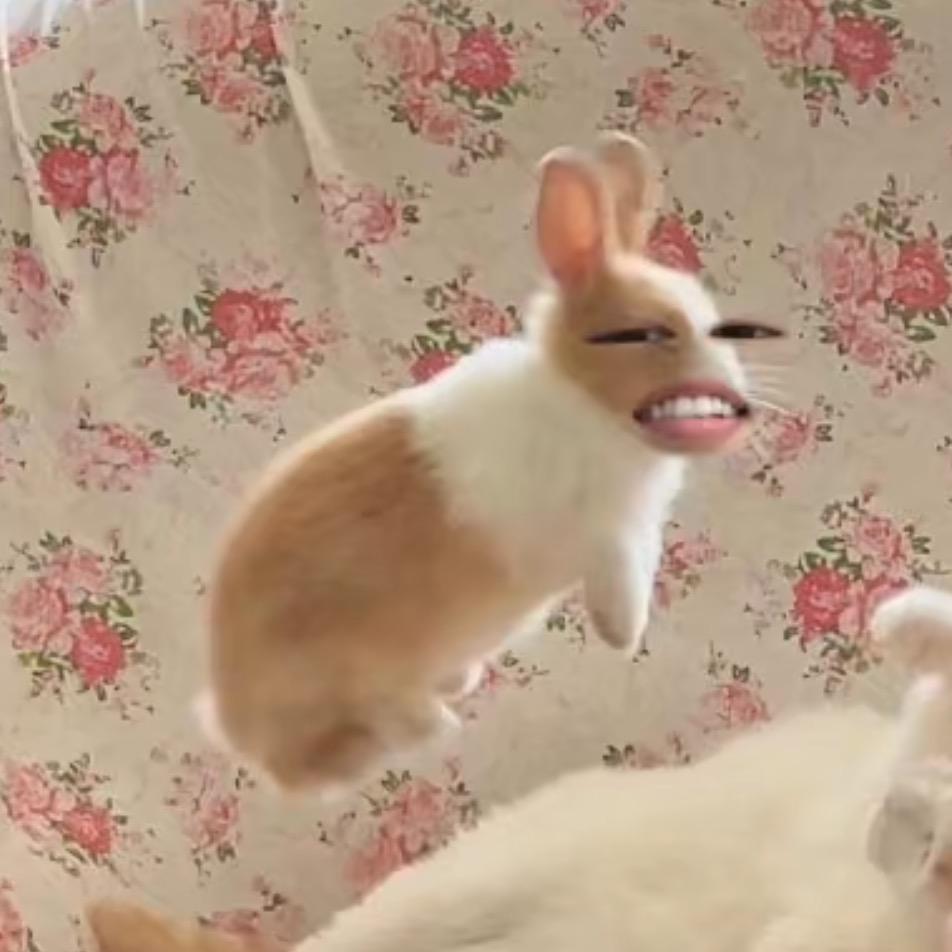 小素🦍🐈🦘