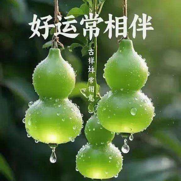 鱼戀海