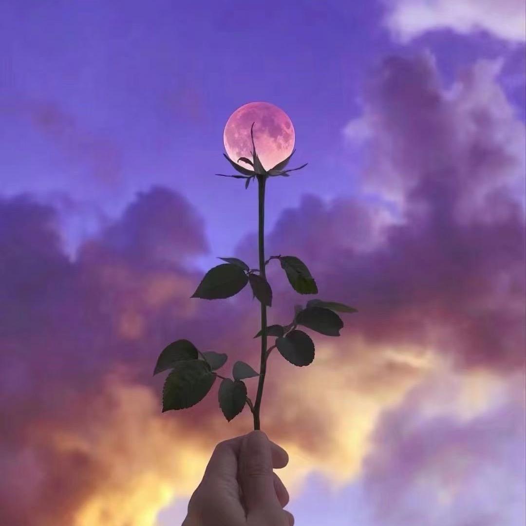 Inthenameoflove