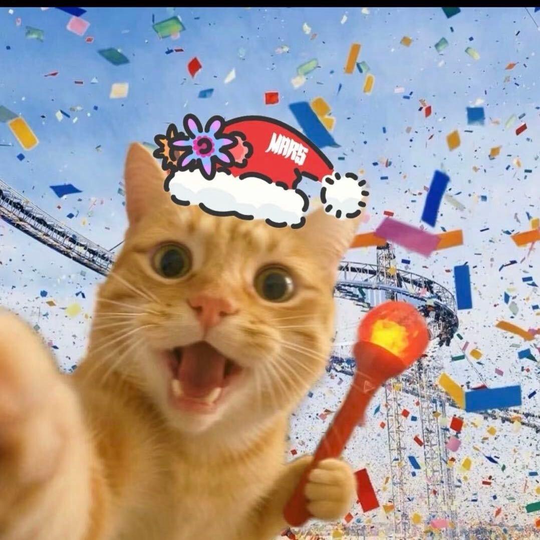 后槽牙yu🌸🌼🌻